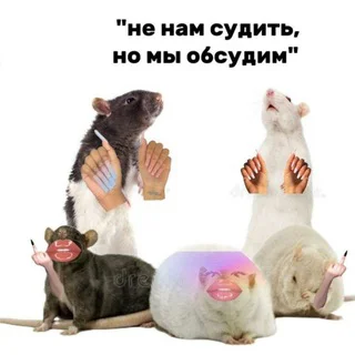 HumanPeople - Group with 15 groups in Art/Design/Photography