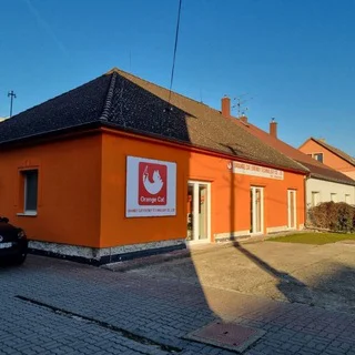 Smart Income Network-OrangeCat Profit Network - Channel with 3 channels in Money/Earning