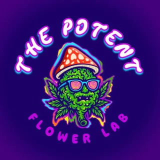 ThepotentFlowerLab(Safe Space)🧿 - Group with 33 groups in Business/Advertising/Marketing