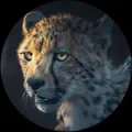 Deutsche Furries Ltd. (SFW) - Group with 109 groups in Common