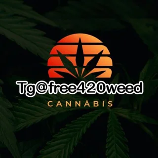tg@free420weed🌿亞洲最大Tg大麻420專門店(台灣中國大陸香港)Telegram - Group with 4217 groups in Common