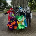 Magdeburger Furrys - Group with 116 groups in Common
