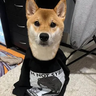 юзлес чат - Group with 1844 groups in Common