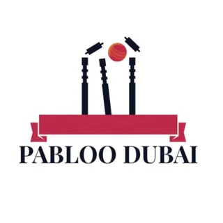 𝙋𝘼𝘽𝙇𝙊𝙊 𝘿𝙐𝘽𝘼𝙄 💸💸 - Channel with 79 channels in Gaming/Apps