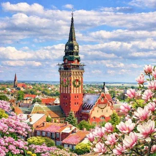 Русская Суботица - Group with 4731 groups in Common