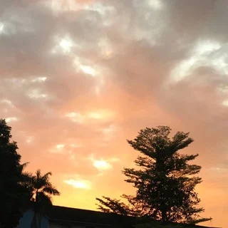 sunset lovers 🌅 - Group with 77482 groups in Common