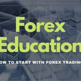 𝙁𝙊𝙍𝙀𝙓 𝙀𝙙𝙪𝙘𝙖𝙩𝙞𝙤𝙣 💎✍️ - Channel with 7927 channels in Film/Animation