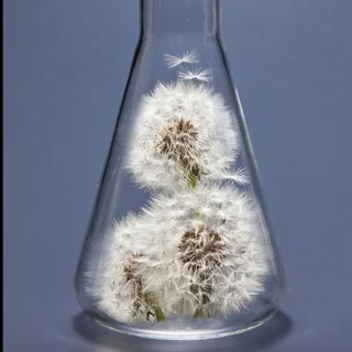 User Crypto Indonesia telegram Group link