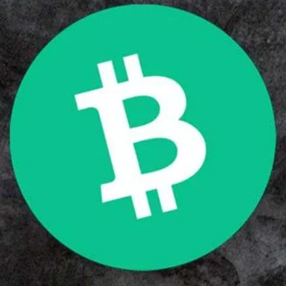 BCH 2024 Bot - Bot with 1 bots in Common