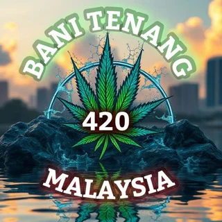 [Active Link] Bani Tenang Malaysia 🇲🇾 - Group with 82 groups in Common