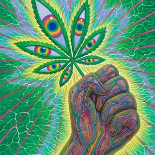 კოკაინისა და მარიხუანას მაღაზია Batumi - Group with 1 groups in Travel/Local/Place