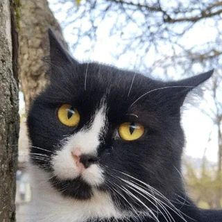 Знімки на замовлення - Channel with 4 channels in Money/Earning