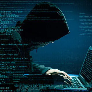 Premium Mod Apk & Courses - Channel with 61 channels in Science/Technology