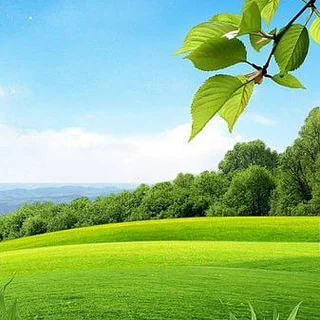 🧩 Morning Wishes 🧩 - Channel with 420 channels in Thoughts/Quotes/Jokes