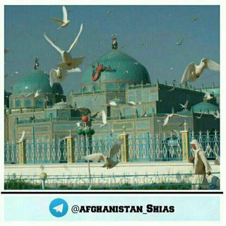 گروه «شیعیان» افغانستان - Group with 1389 groups in Common