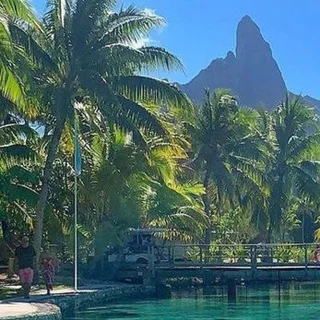 Canberra Budz pick up 420 green - Group with 81 groups in Business/Advertising/Marketing