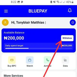 Blue pay limited - Channel with 41 channels in Money/Earning