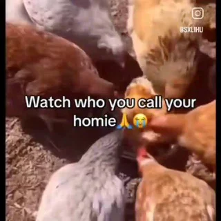 Buds Bunny - Group with 1 groups in Business/Advertising/Marketing