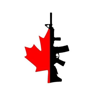 BuyGunsCanada - Channel with 46 channels in Travel/Local/Place