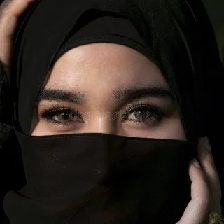 Telegram Request Member Channel - Channel with 493 channels in Common