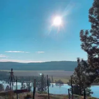 Shrooms - Group with 13 groups in Business/Advertising/Marketing