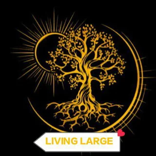 Investment feedback🌊 living large🌖 - Channel with 9 channels in Money/Earning