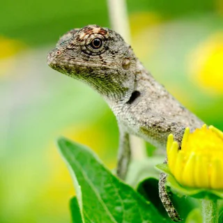 DevOps jobs vietnam - Channel with 1607 channels in Common