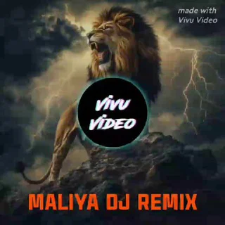 REMIX MALIYA SONG - Channel with 4 channels in Music/Audio/Songs