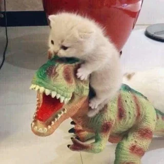 Example - Channel with 10 channels in Common