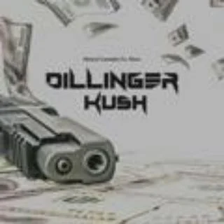 dillinger Store - Bot with 0 bots in Common