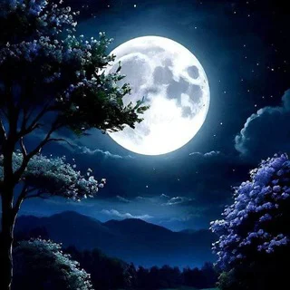 ஹைக்கூ மழை - Group with 15 groups in Thoughts/Quotes/Jokes