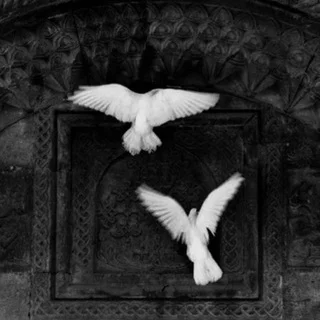 kk224k - Channel with 292 channels in Common