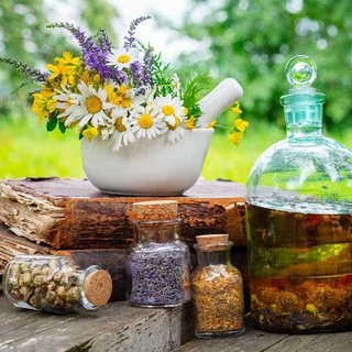 Plantas medicinales - Channel with 6771 channels in Business/Advertising/Marketing