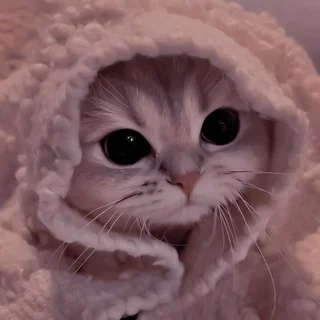 ❤️°•සුන්දරී•°❤️ | ❤️°•Sundari•°❤️ - Group with 163 groups in Dating/Flirting/Chatting