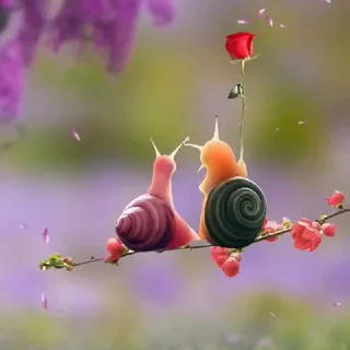 Shero shayari - Group with 58 groups in Thoughts/Quotes/Jokes