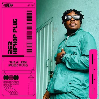 263 HipHop PLUG 🇿🇼🎧 - Channel with 5078 channels in Music/Audio/Songs
